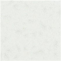 金牌亚洲瓷砖宙晶系列 客厅卧室餐厅卫浴地面瓷砖 防滑耐磨 88AJ118P仙女白800x800（单片价格）
