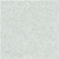 金牌亚洲瓷砖宙晶系列 客厅卧室餐厅卫浴地面瓷砖 防滑耐磨 88AJ518P猎户银800x800（单片价格）