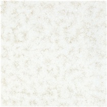 金牌亚洲瓷砖天玺系列 客厅卧室餐厅卫浴地面瓷砖800x800（单片价格） 防滑耐磨88BJ807