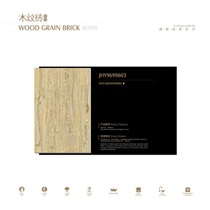 骏程-木纹砖系列-JHY9699603 
