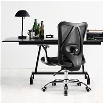 西昊（SIHOO） 人体工学电脑椅子 老板椅 家用座椅转椅 电竞椅 护腰办公椅 M16 黑色-无头枕 