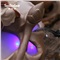 海日星 风水球风水轮流水喷泉摆件 陶瓷创意家居水景客厅办公室摆件加湿器 欲转星河B款