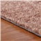圣名菲 客厅地毯茶几卧室夏季亮丝新款韩国丝纯色地毯 婚房满铺床边毯 浅驼色 200*300cm
